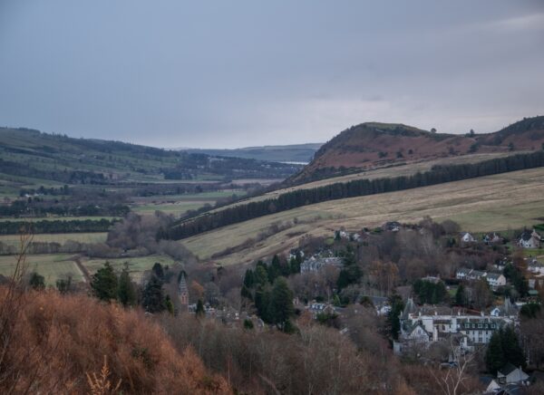 Looking east from hill behind plots 1