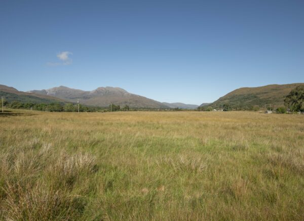 RH looking East from Plot