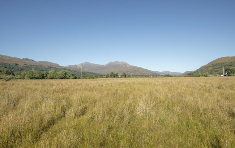 RH Looking East from plot 2