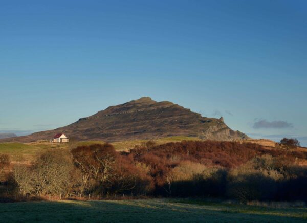 Braes